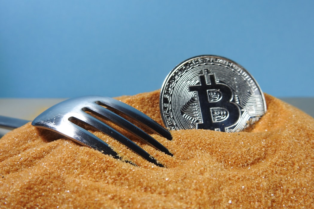Blog: What are cryptocurrency forks?
